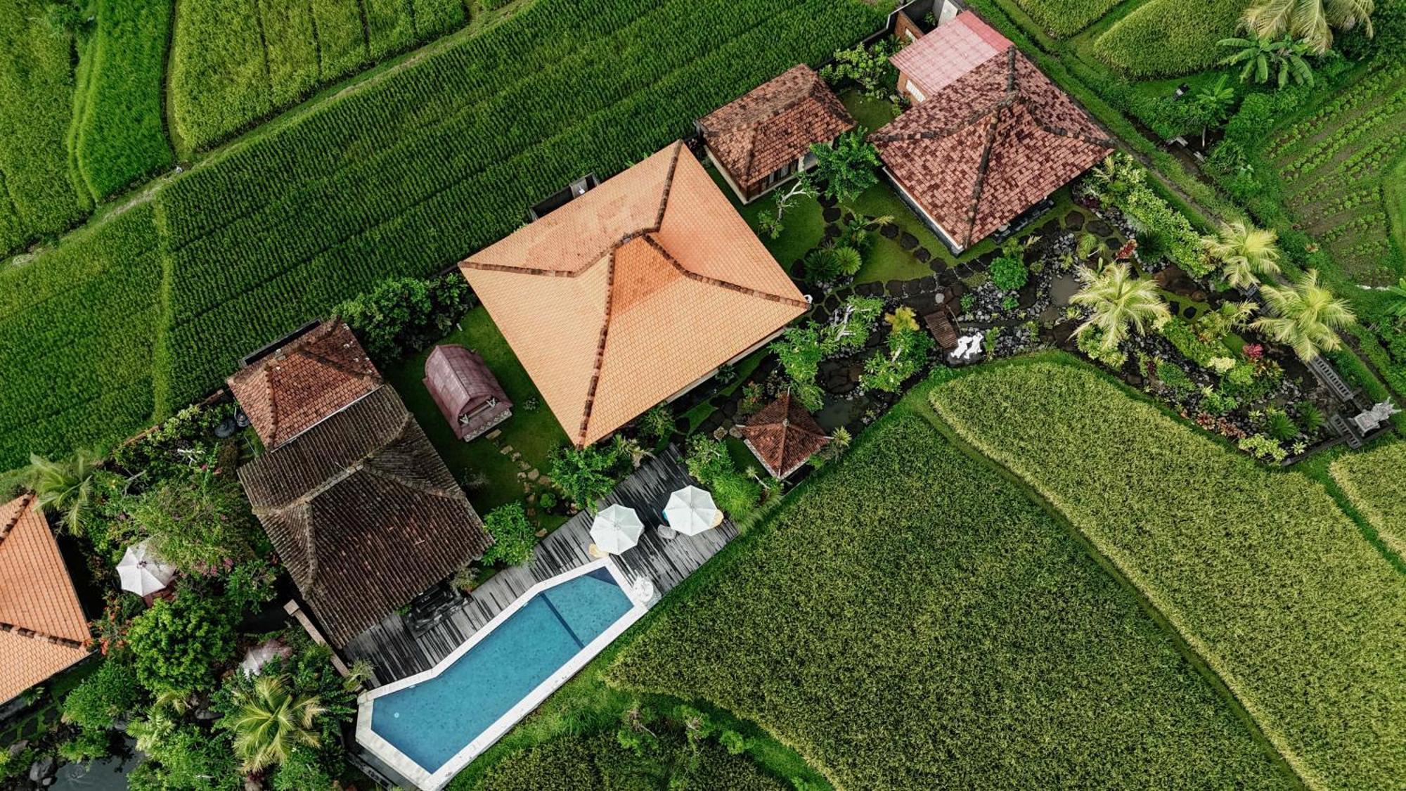 Billys Ayodya Villa Perean Kültér fotó