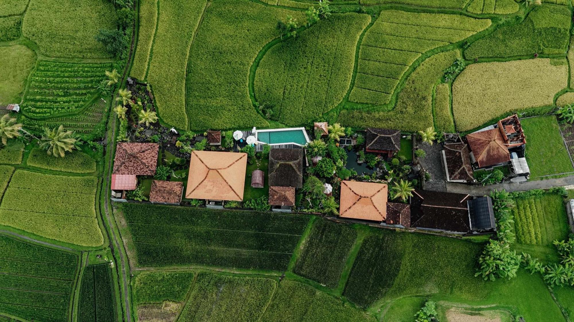Billys Ayodya Villa Perean Kültér fotó