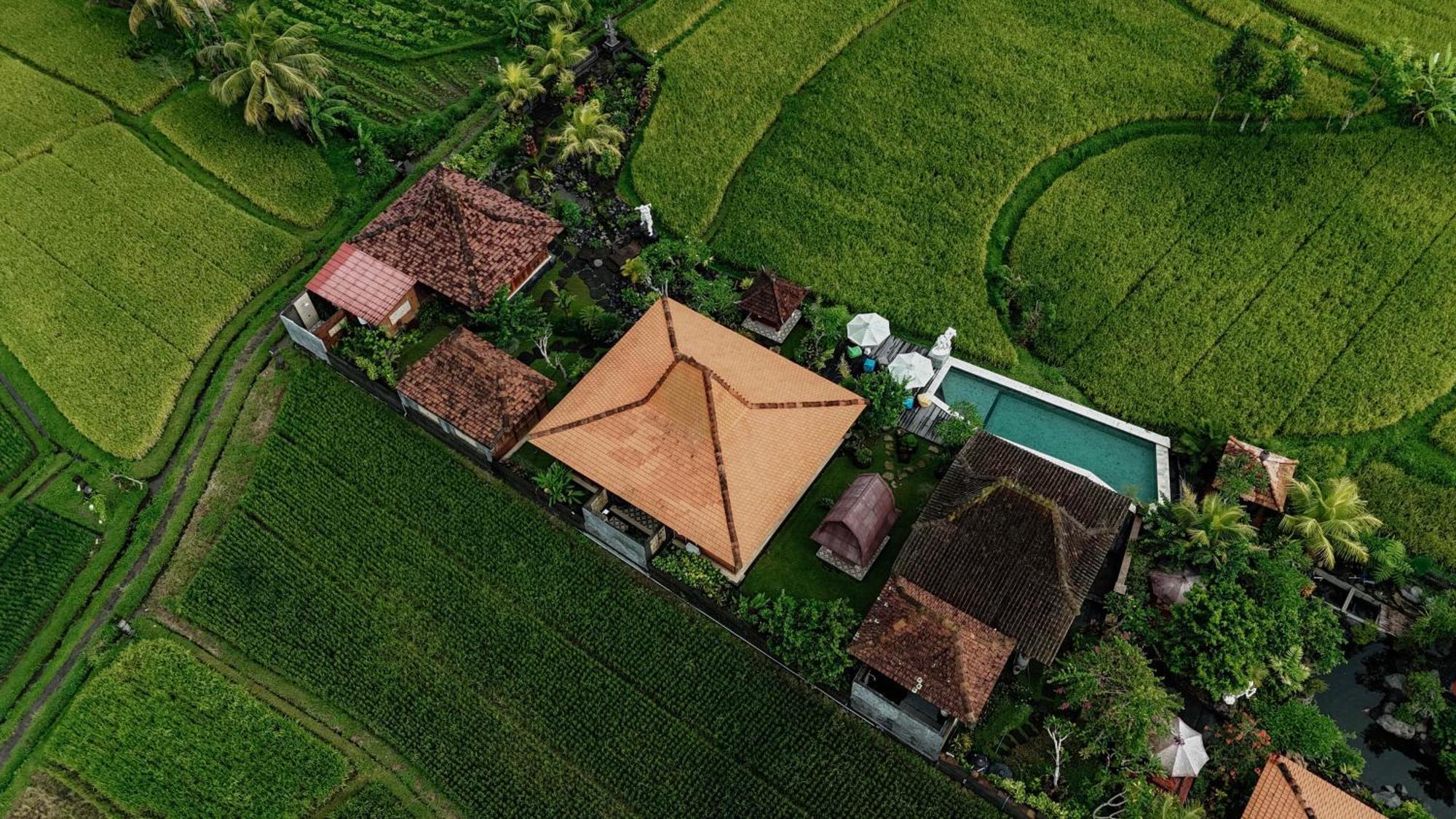 Billys Ayodya Villa Perean Kültér fotó